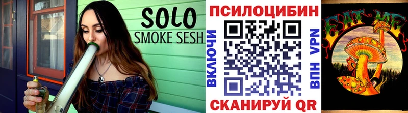 маркетплейс официальный сайт  блэк спрут онион  Котовск  Галлюциногенные грибы MAGIC MUSHROOMS 