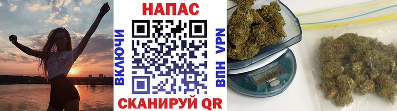 Конопля VHQ  где найти наркотики  Котовск 